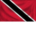The Official NaeNae Group