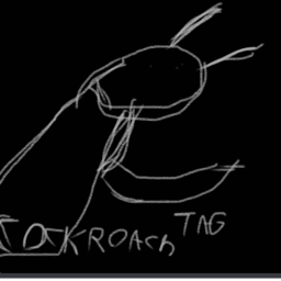 Cockroach Tag