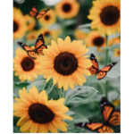 Sunflower Bestiess
