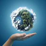 Ecosystem Interactive