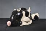 GROUP COW FISH
