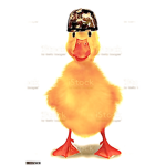 THE DUCK GANGSTER