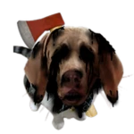 Lost Dog Wawa