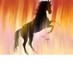 Sunset saddle riding academy
