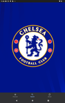 ChelseaTortoise