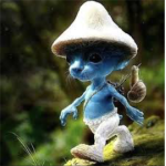 Smurf cat land