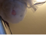 Vanny hates Glitchtrap