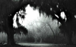 The Lonely People. TLP