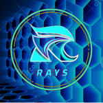 The RaysTeam (Go to Store)