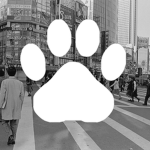Neko Airlines