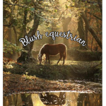 - Blush Equestrian -