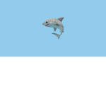 The sharkz :)