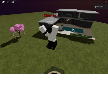 Chill out and make friends