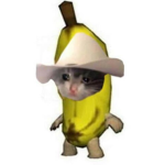 Memes group SpongeBob