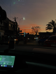 BUYING_PETS