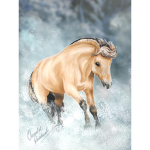 Starshine stable