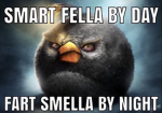 Realistic Angry Birds Picture