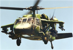 Black Hawks