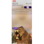 Group Thumbnail