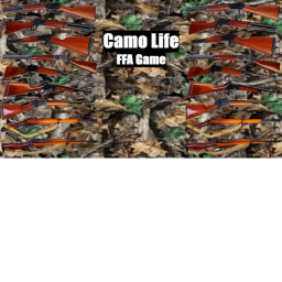 Camo Life Fighting Game!!!!