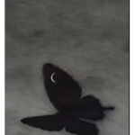 VAMPMI$T