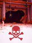 Mr.Noob (its a black rabbit)
