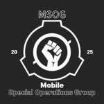 Mobile Special Operations Group 기동특수작전단