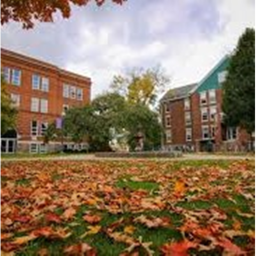 The Rake but in an abandoned college