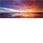 #sunset dreamers