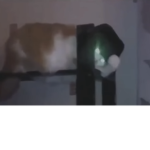 T I C K L E _ T I M S O N _ H I D E O U T