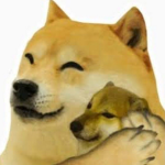 DOGE y CHEEMS