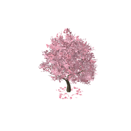 Japanese Sakura Tree v1