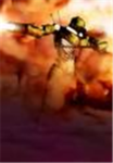 The Flame Warriors