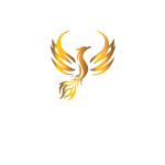 Oura Studio