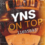 Yns神