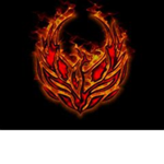 The Pheonix Fury