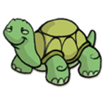 Fan club of turtles