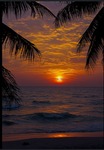 Sunsetz giveaways!!