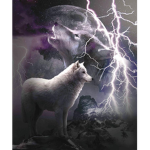 Fire & Ice Wolves