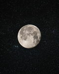 Sky Moons stars