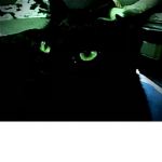 -+-Warrior Cats Fanon RP Group-+-