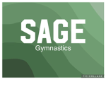 Tiger gymnastics group