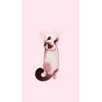 Grumpy Cat Club