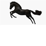 Horse back riding academy (Horse Valley 2)