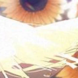 Sunflowers icon