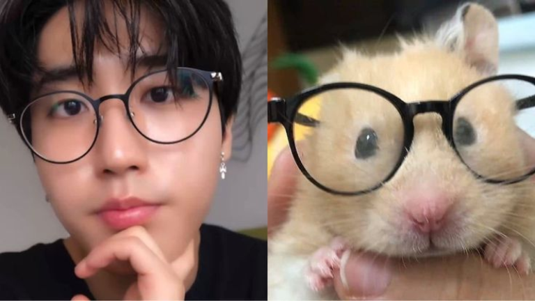  Han Jisung Obby screenshot 3