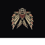 The Midnight Owl