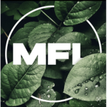 [Major Football League] MFL