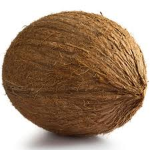 cocata