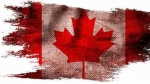 CANADIAN CARTEL